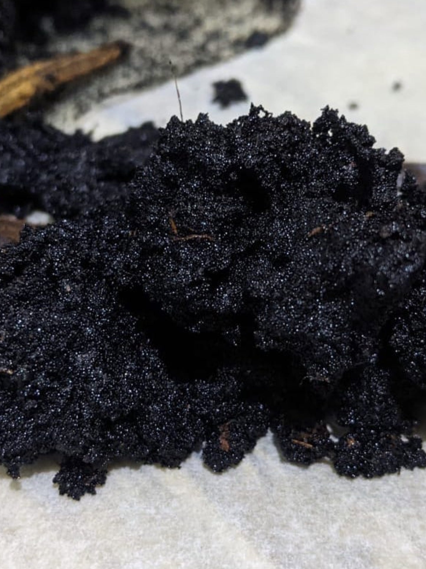 CAVIAR DE VANILLE BOURBON (MADAGASCAR)